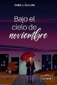 Bajo el cielo de noviembre