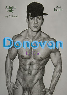DONOVAN VOL. 2