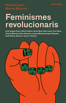 Feminismes revolucionaris