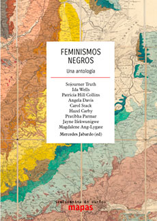 Feminismos negros
