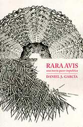 Rara avis